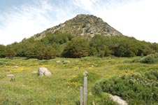Le Mont gerbier de Jonc - Les Vans
